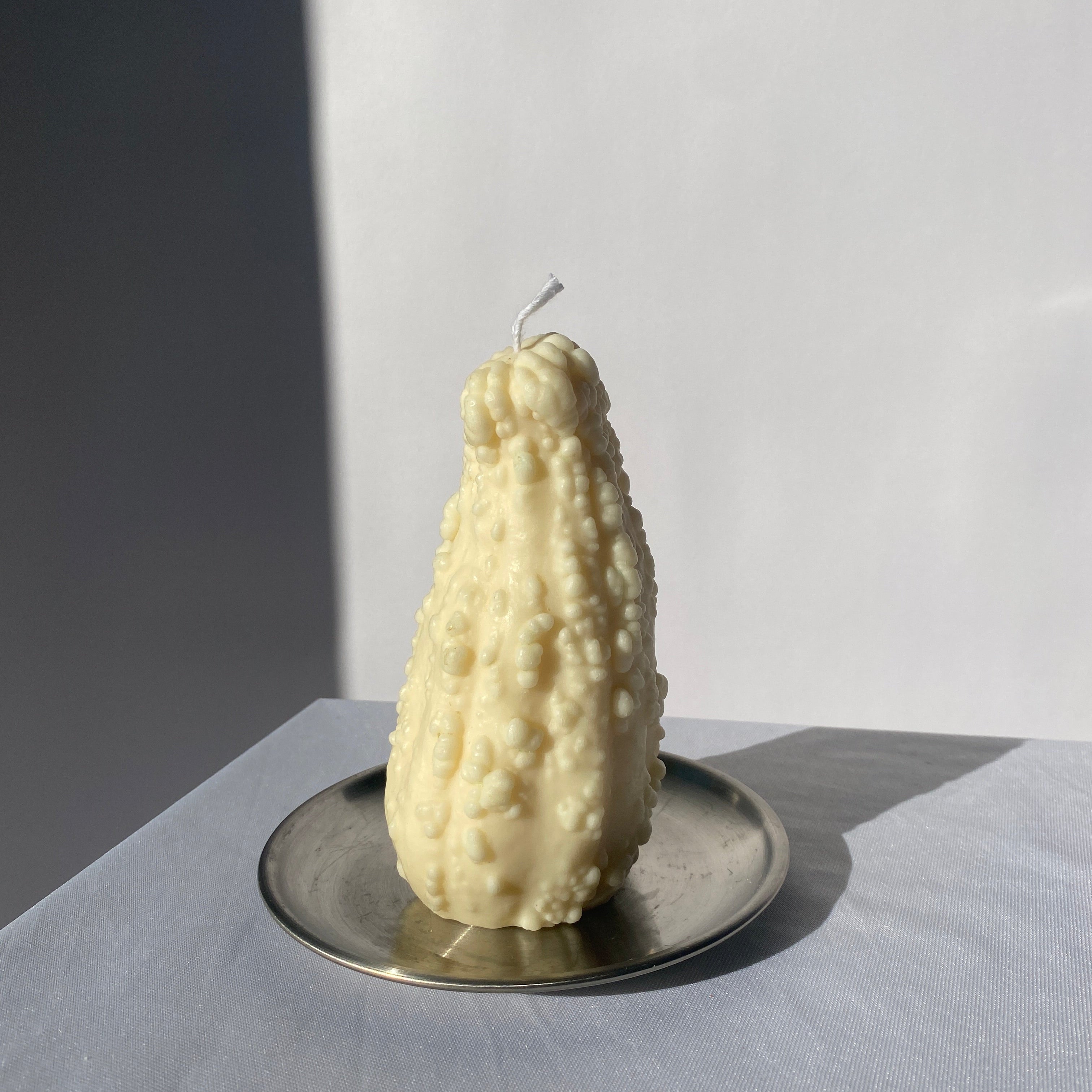 Crookneck Gourd Candle-white