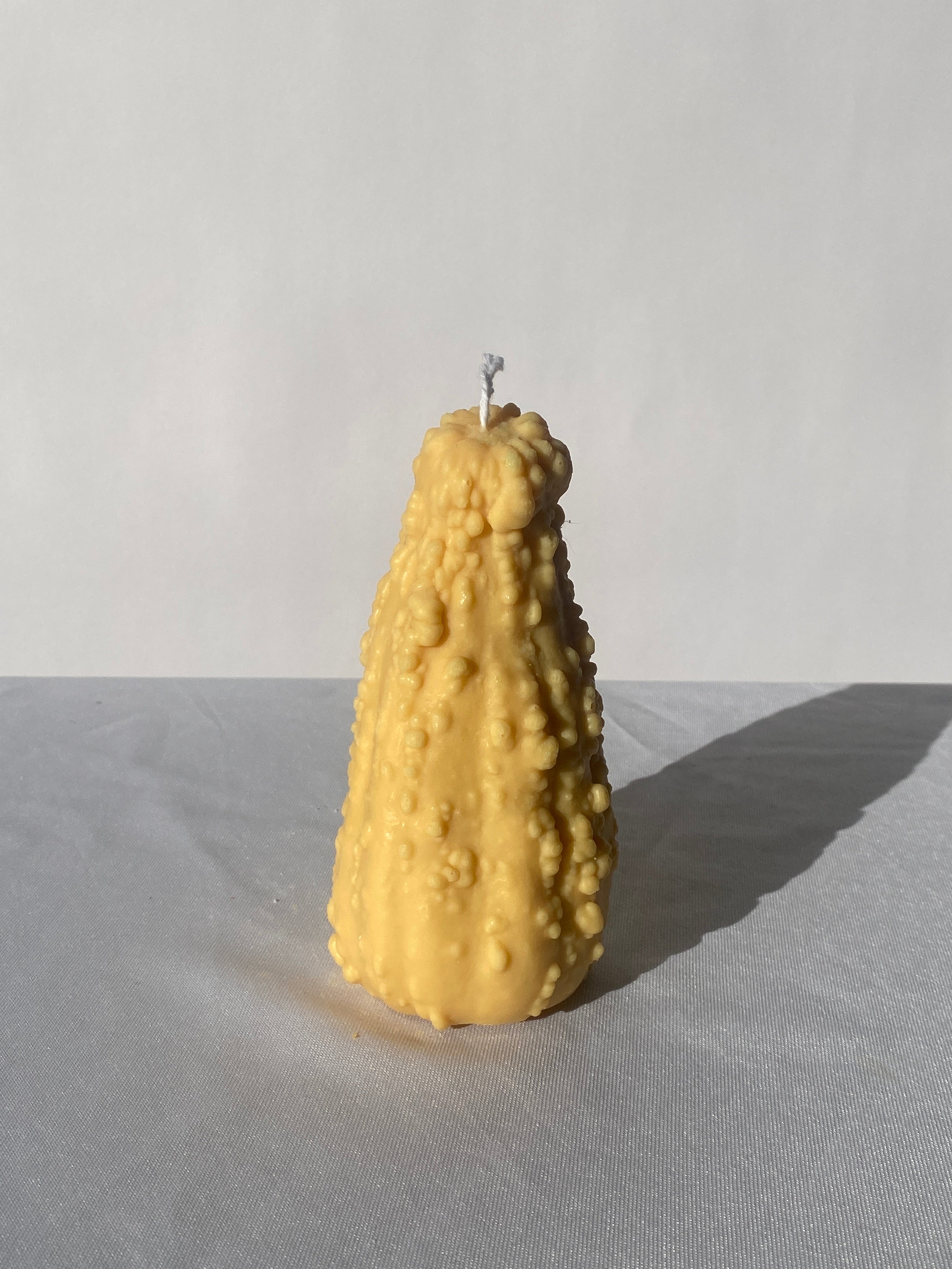 Crookneck Gourd Candle