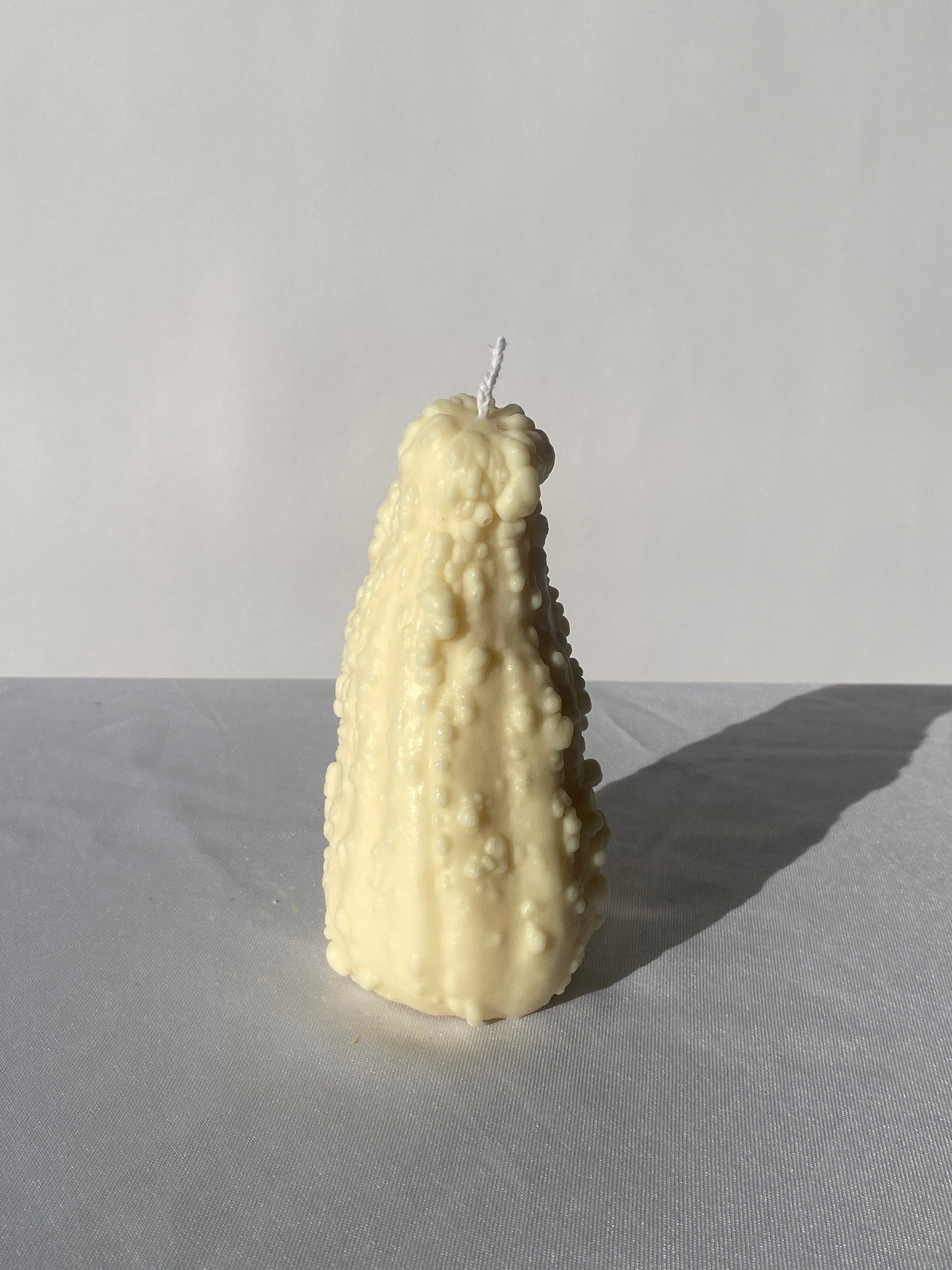 Crookneck Gourd Candle