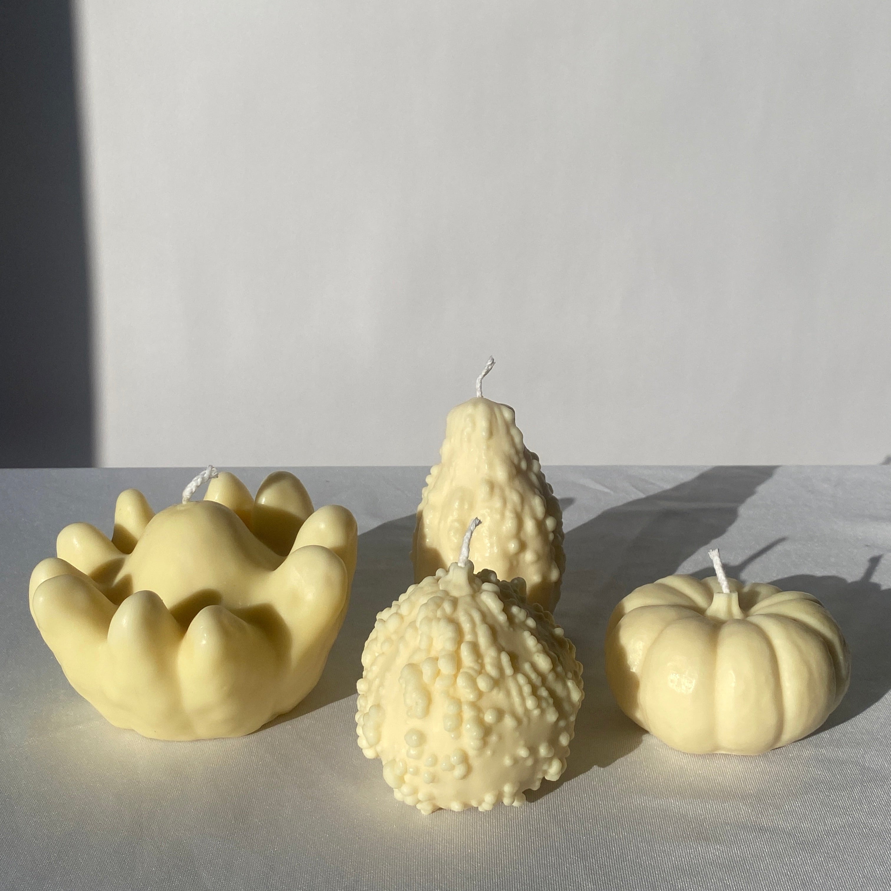 Oh My Gourd! 4 Pack