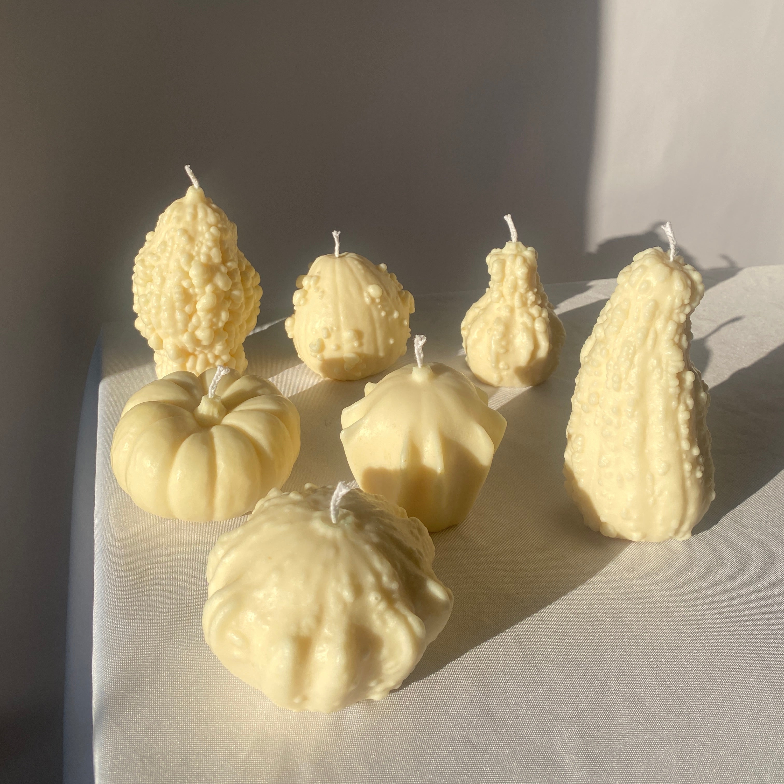 Good Gourd! 7 Pack