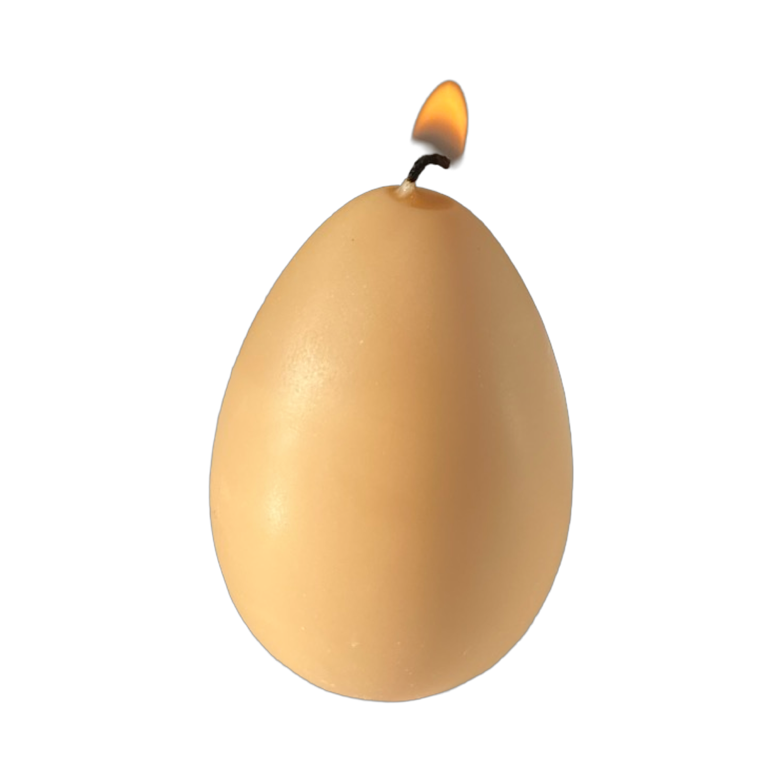 Egg Candles - 6 Pack Box