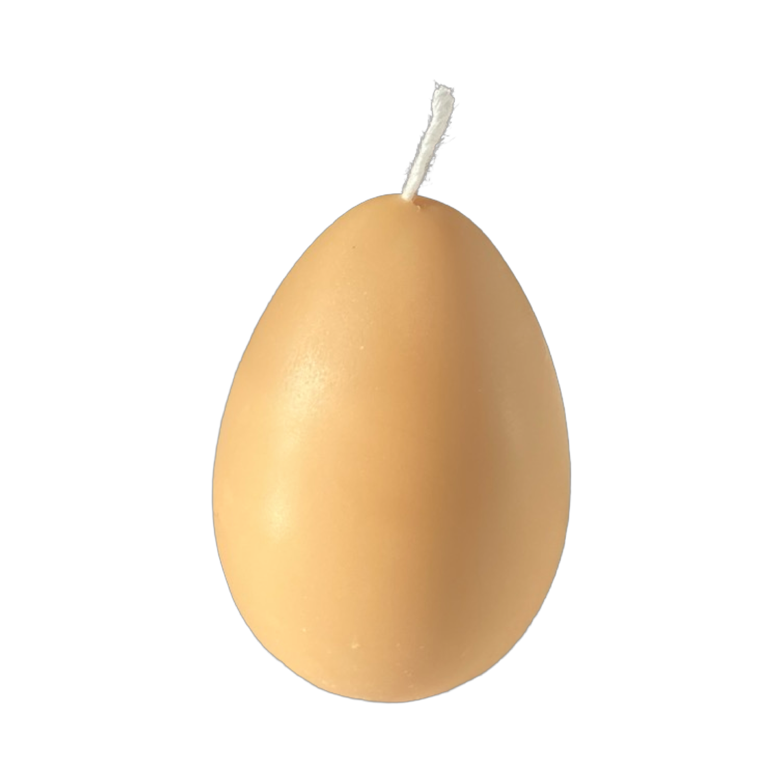 Egg Candles - 6 Pack Box