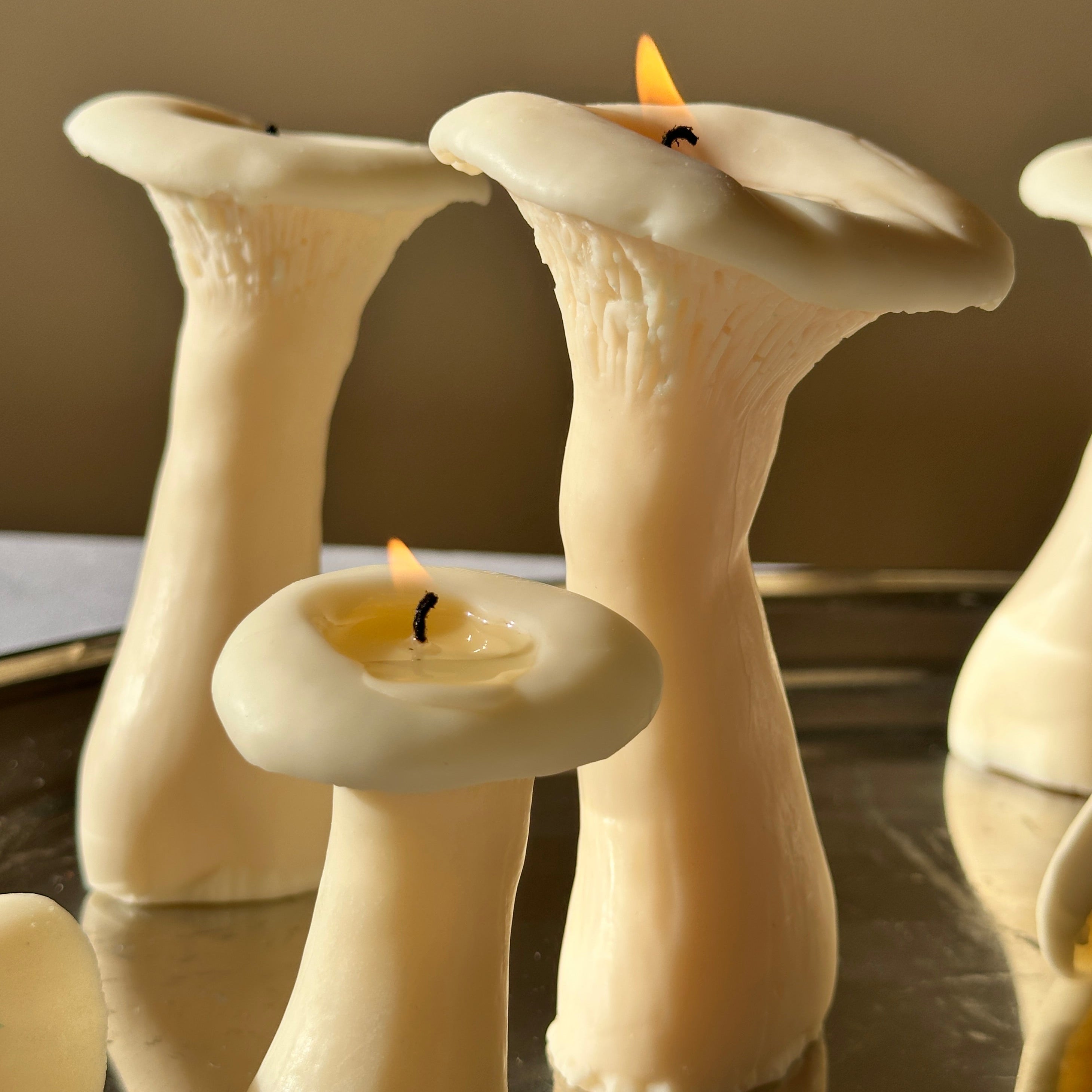 Scandles Mushroom Candles 4