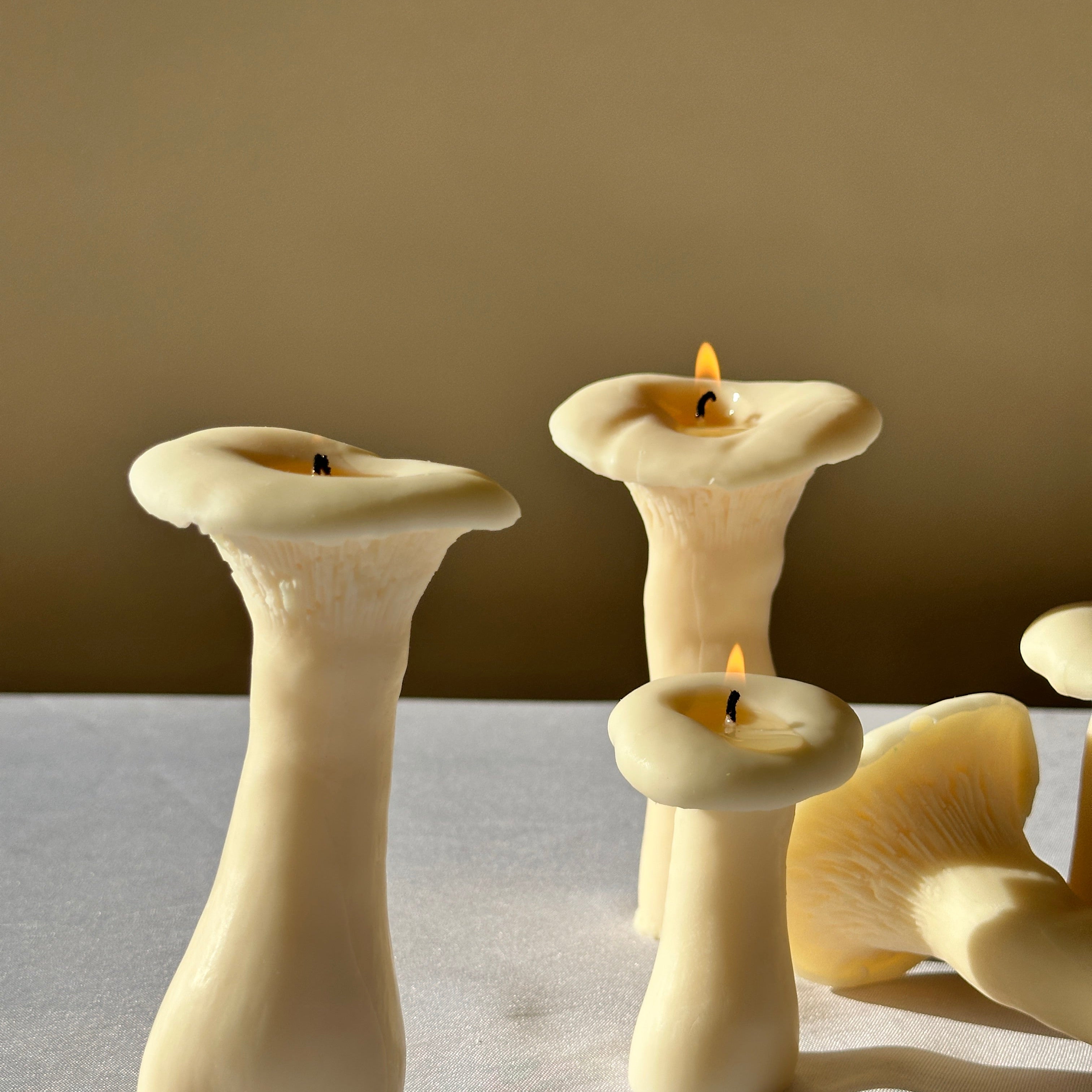 Scandles Mushroom Candles 6